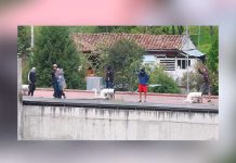 12 presos muertos por conflicto en Ecuador