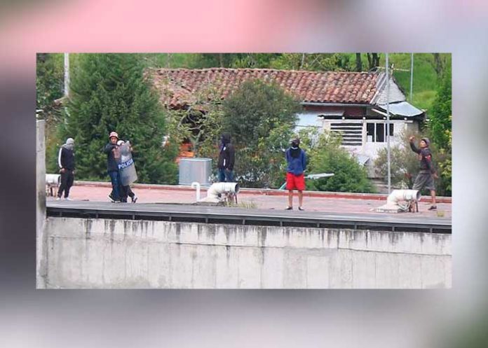 12 presos muertos por conflicto en Ecuador