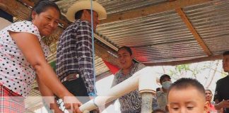 Somoto: Programa Nica Vida continúa complementando agricultura familiar