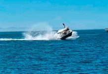 Ballena choca con embarcación, dejando heridos en México