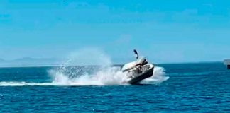 Ballena choca con embarcación, dejando heridos en México