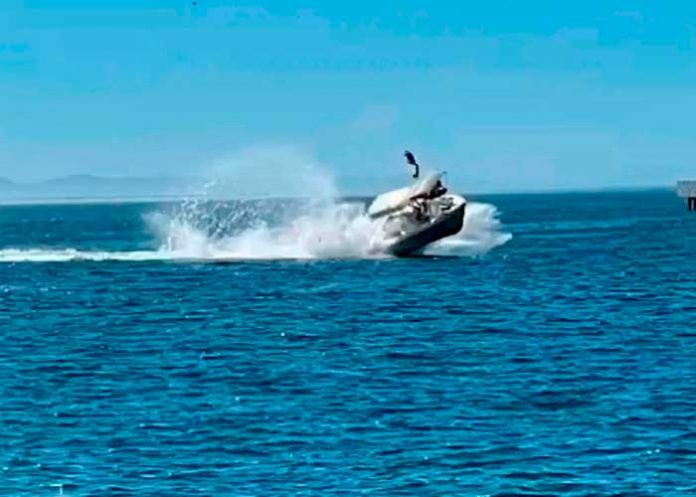 Ballena choca con embarcación, dejando heridos en México