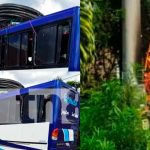 Camión se pasa llevando cables del tendido eléctrico en un barrio de Juigalpa Camión se pasa llevando cables del tendido eléctrico en un barrio de Juigalpa