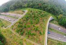 Puente más grande del mundo se construye para animales en California Puentes para animales más grande del mundo es construido en California