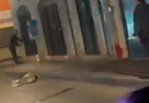 CJNG vs CJNG, los sicarios del Mencho se balean entre ellos CJNG vs CJNG, los sicarios del Mencho se balean entre ellos.