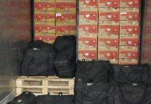 Detienen dos contenedores «hasta la madre» de drogas rumbo a Bélgica Fuerte cargamento que se incautó de camino hacia Bélgica