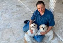¿Existe un método para clonar mascotas? Descubre como los ricos lo hacen Polémico procedimiento para clonar mascotas