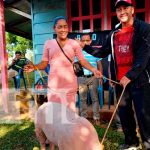 Mujeres de Bluefields son beneficiadas con bonos de cerdas Mujeres de Bluefields recibieron bonos de cerdas