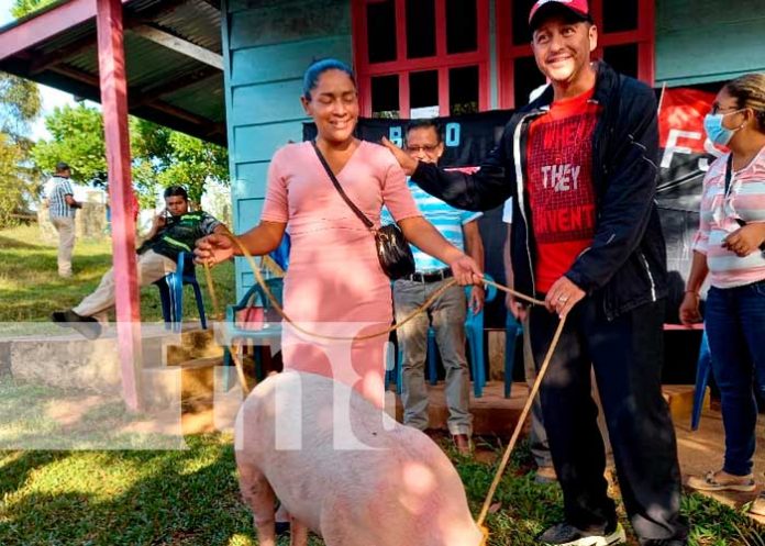 Mujeres de Bluefields recibieron bonos de cerdas