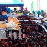 Realizan el almíbar más grande de Nicaragua, en Managua Realizan el almíbar más grande de Nicaragua, en Managua