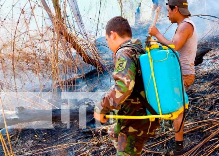 Ejercito de Nicaragua sofocó incendios en El Crucero y Granada