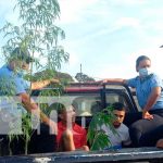 Policía Nacional realiza allanamiento en una vivienda e incauta droga en Diriamba Policía Nacional realiza allanamiento en una vivienda e incauta droga en Diriamba