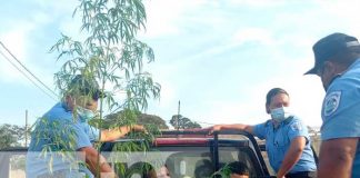 Policía Nacional realiza allanamiento en una vivienda e incauta droga en Diriamba