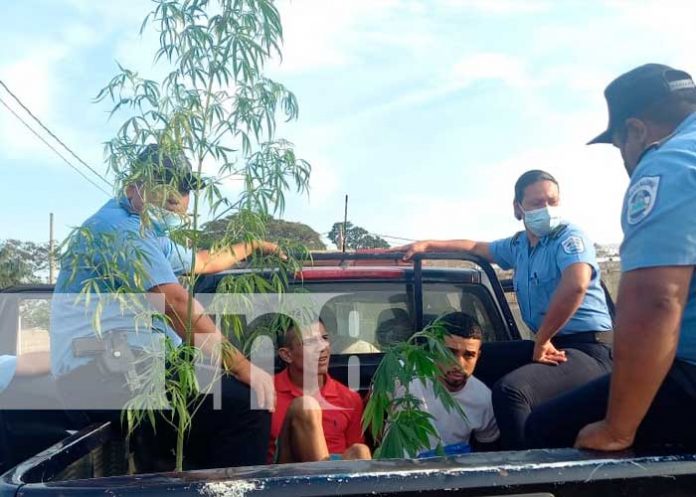 Policía Nacional realiza allanamiento en una vivienda e incauta droga en Diriamba