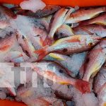 Conozca la historia de un emprendedor de Carazo que se dedica a la pesca Conozca la historia de un emprendedor de Carazo que se dedica a la pesca