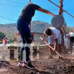 Realizan siembra de hortalizas en centros escolares de Jinotega Realizan siembra de hortalizas en centros escolares de Jinotega