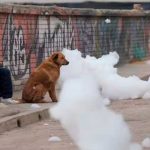 Curiosa espuma maloliente afecta una zona de Bogotá, Colombia