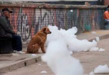 Curiosa espuma maloliente afecta una zona de Bogotá, Colombia Curiosa espuma maloliente afecta una zona de Bogotá, Colombia