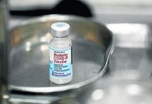 España: Moderna es retirada por la presencia de un mosquito en vial Vial de Moderna es encontrada con mosquito adentro