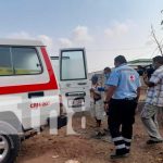 Anciano es golpeado en el brazo con una «pata de chancho» en el barrio Healiah Anciano es golpeado en el brazo con una "pata de chancho" en el barrio Healiah