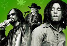 ¿Querés andar elevado? Estas son 5 canciones para este 4/20 5 canciones para este 4 20