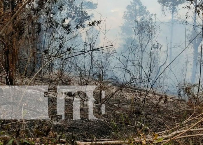 Fuego arrasa con más de 30 manzanas de bosque y maleza en Matagalpa
