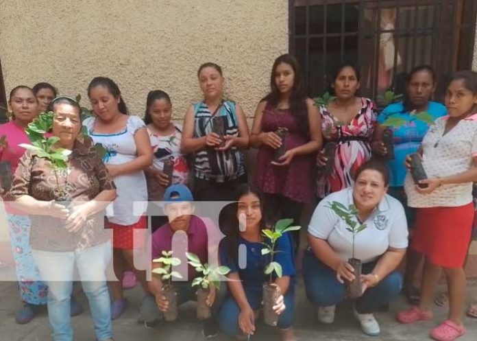 Se realizó jornada de reforestación en el municipio de Matiguás