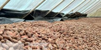 Río San Juan: MEFCCA inaugura infraestructura en Cooperativa COOPROCAFUC