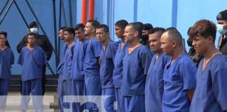 León: 35 detenidos tras operativos policiales