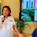 INTA promueve la utilización de fertilizantes orgánicos con productores de Chinandega INTA promueve la utilización de fertilizantes orgánicos con productores de Chinandega