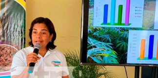 INTA promueve la utilización de fertilizantes orgánicos con productores de Chinandega