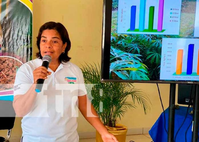 CHINANDEGA-2 INTA promueve la utilización de fertilizantes orgánicos con productores de Chinandega