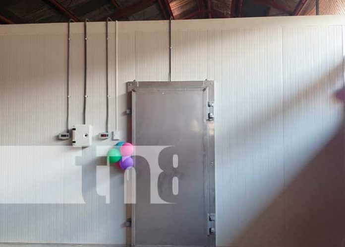 Chontales: MINSA recibe Camara Fría para el resguardo de vacunas