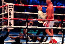 boxe, tyson, fury, dillian, white, boxeo, cmb,