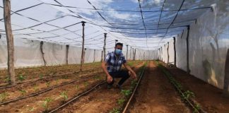 Protagonista Pablo Absalón, mostrando uno de los huertos biointensivos en su propiedad ubicada en la Comarca San Juanillo, Matagalpa.