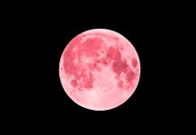 Cómo, cuándo y dónde ver la Luna Rosa de abril