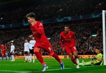 liverpool, champions, benfica, futbol, champions, league,