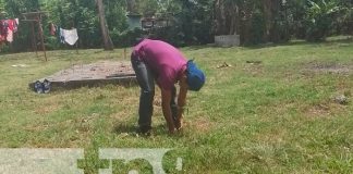 Matiguás: Avanza Plan de Reforestación