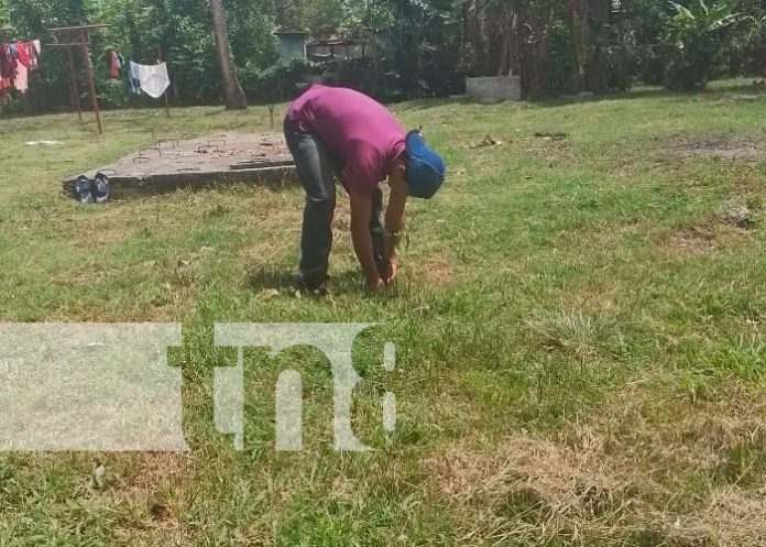 Matiguás: Avanza Plan de Reforestación