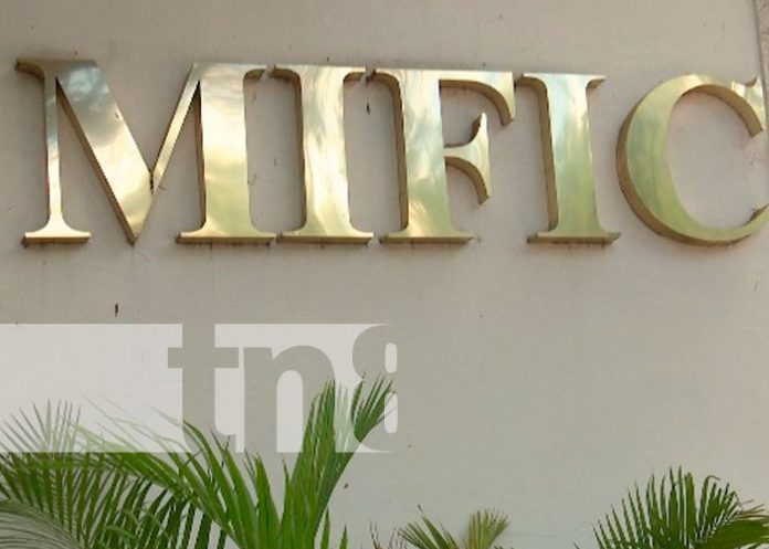 MIFIC reporta estabilidad de precios en productos de la canasta básica