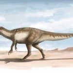 Descubren restos de los últimos dinosaurios carnívoros en Argentina Descubren restos de los últimos dinosaurios carnívoros en Argentina