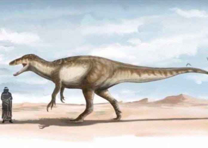 Descubren restos de los últimos dinosaurios carnívoros en Argentina