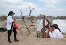 La búsqueda de Debanhi Escobar revela el hallazgo de 5 cuerpos de mujeres La búsqueda de Debanhi Escobar revela el hallazgo de 5 cuerpos de mujeres