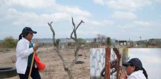 La búsqueda de Debanhi Escobar revela el hallazgo de 5 cuerpos de mujeres