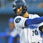 freddy, zamora, ligas, menores, milb,