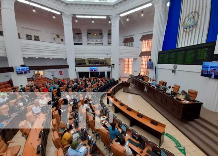 asamblea-ong-3 Sesión parlamentaria en la Asamblea Nacional sobre Ley con ONG's