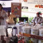 Fuera roedores: Arranca campaña de BioRat en centros recreativos de León Lanzamiento de jornada por la desratización en centros de León