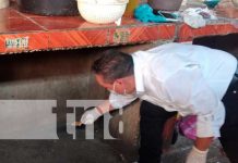 Aplicación de BioRat en el mercado de Tipitapa