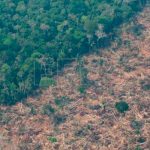 ¡Devastador! La minería ilegal en la Amazonía aumentó un 495 % ¡Devastador! La minería ilegal en la Amazonía aumentó un 495 %