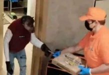 Viral e Insólito: Chimpancé pide pizza a domicilio y sorprende a repartidora Viral e Insólito: Chimpancé pide pizza a domicilio y sorprende a repartidora